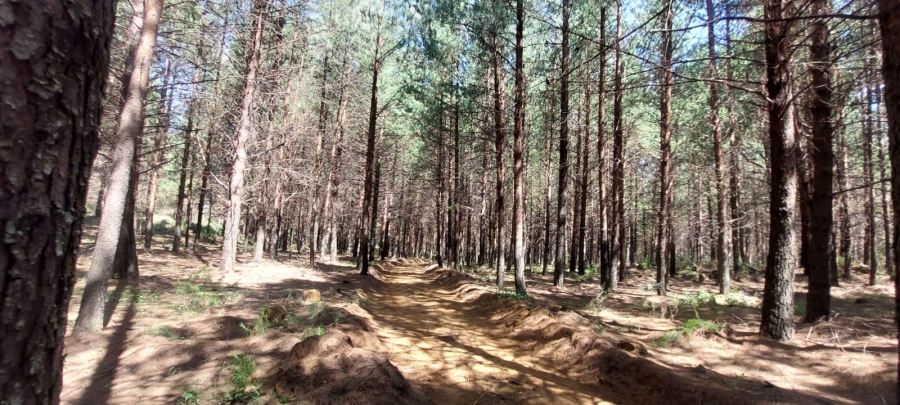 0 Bedroom Property for Sale in Belfast Mpumalanga