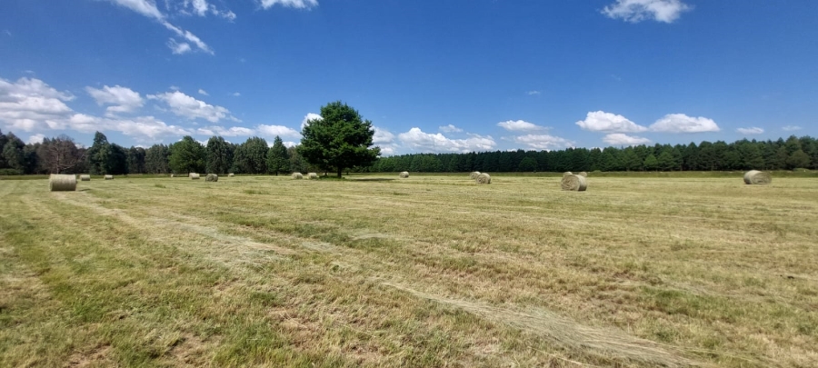 0 Bedroom Property for Sale in Belfast Mpumalanga