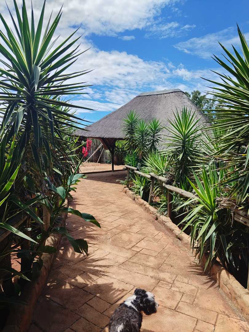 3 Bedroom Property for Sale in Droogefontein Mpumalanga