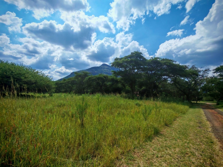 0 Bedroom Property for Sale in Lydenburg Mpumalanga