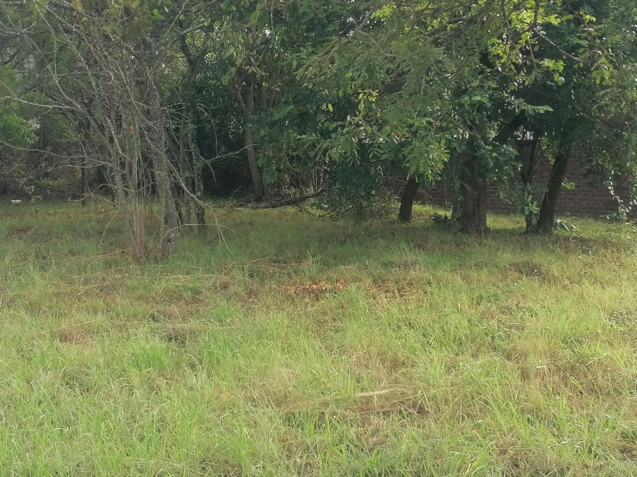 0 Bedroom Property for Sale in Drum Rock Mpumalanga