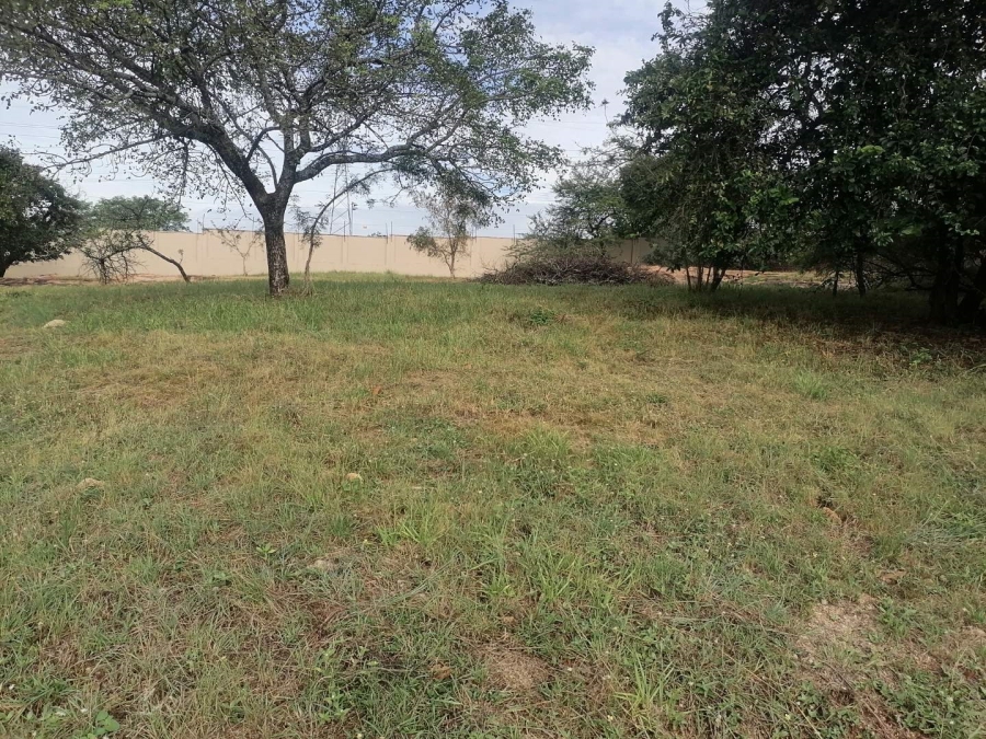 0 Bedroom Property for Sale in Drum Rock Mpumalanga