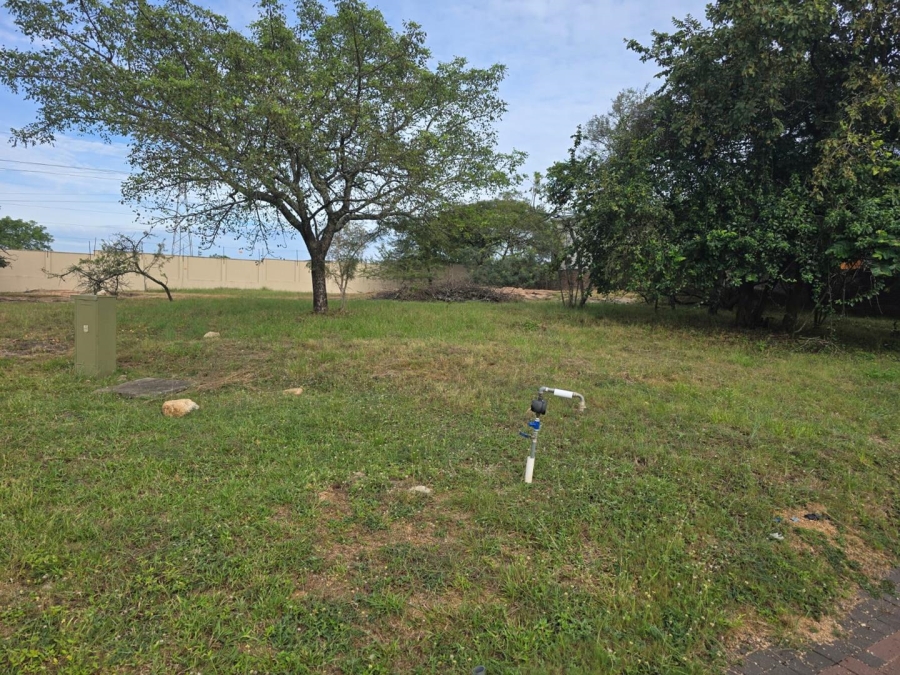 0 Bedroom Property for Sale in Drum Rock Mpumalanga