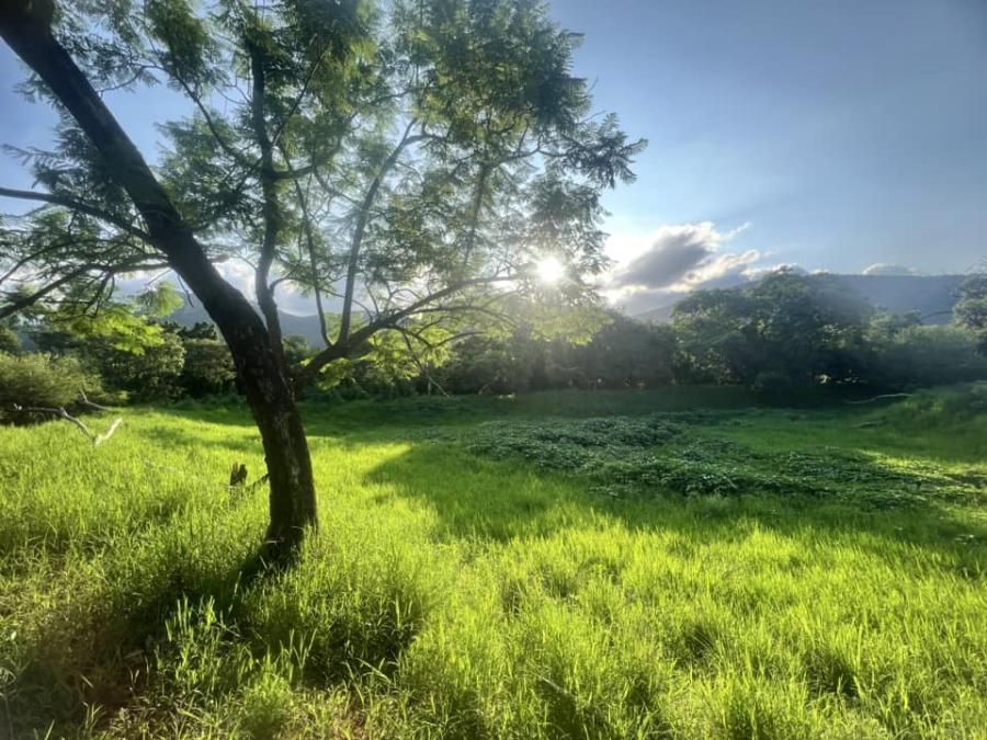 0 Bedroom Property for Sale in Lydenburg Mpumalanga