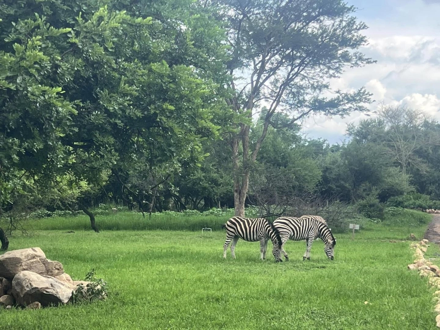 0 Bedroom Property for Sale in Lydenburg Mpumalanga