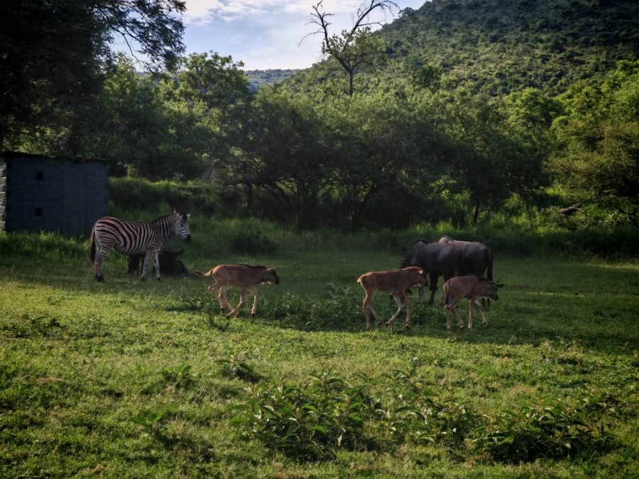 0 Bedroom Property for Sale in Lydenburg Mpumalanga