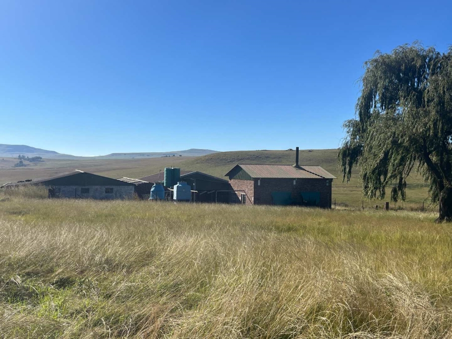 5 Bedroom Property for Sale in Volksrust Mpumalanga