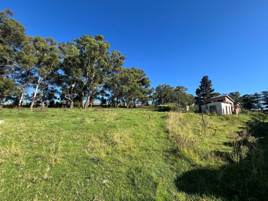 5 Bedroom Property for Sale in Volksrust Mpumalanga