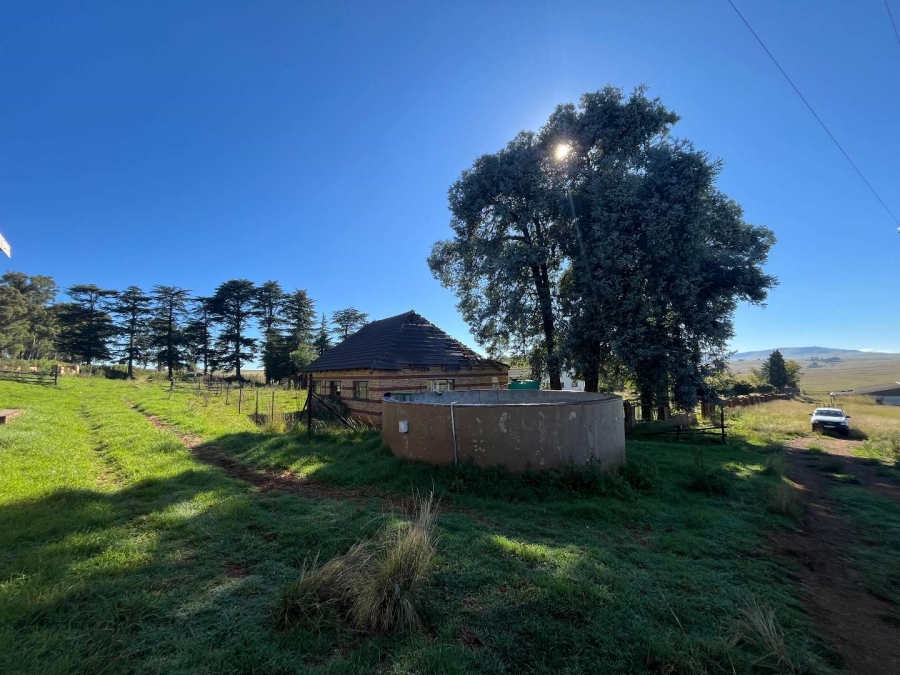 5 Bedroom Property for Sale in Volksrust Mpumalanga