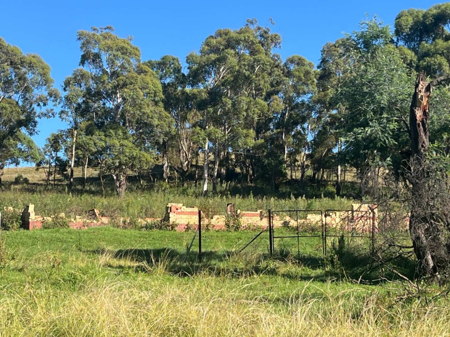 5 Bedroom Property for Sale in Volksrust Mpumalanga