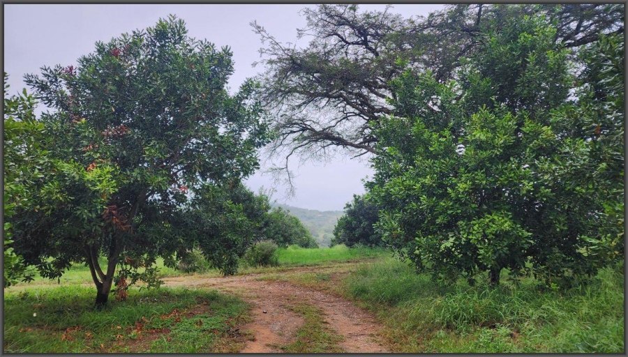 To Let 4 Bedroom Property for Rent in White River AH Mpumalanga