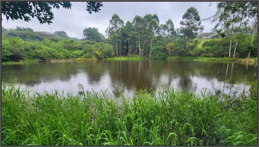 To Let 4 Bedroom Property for Rent in White River AH Mpumalanga