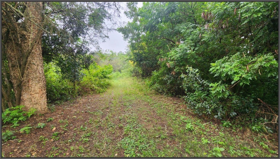 To Let 4 Bedroom Property for Rent in White River AH Mpumalanga