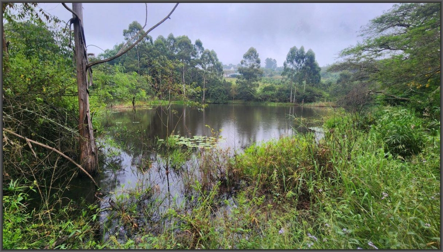 To Let 4 Bedroom Property for Rent in White River AH Mpumalanga
