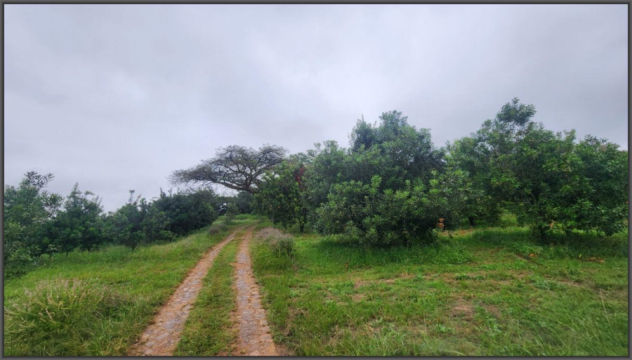 To Let 4 Bedroom Property for Rent in White River AH Mpumalanga