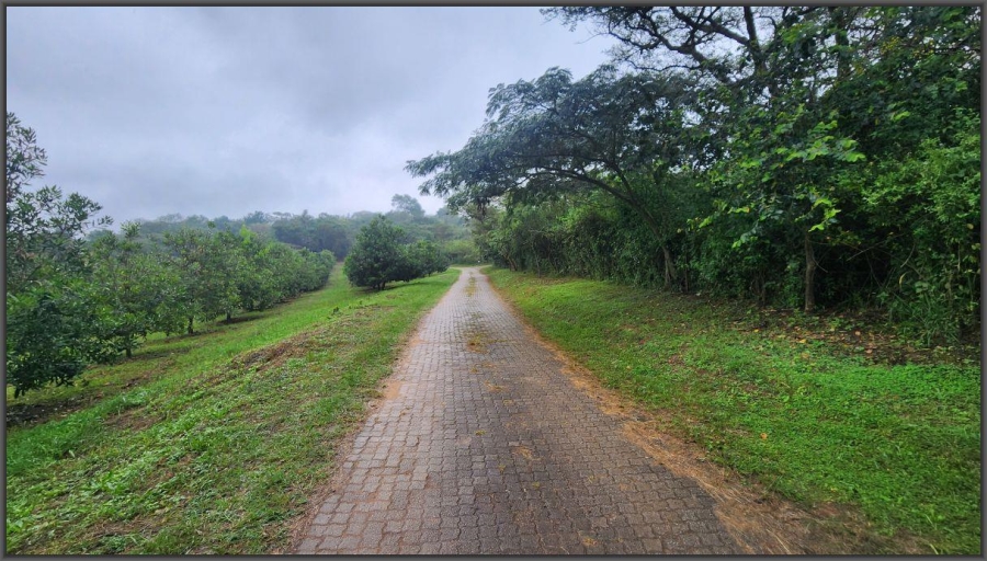 To Let 4 Bedroom Property for Rent in White River AH Mpumalanga