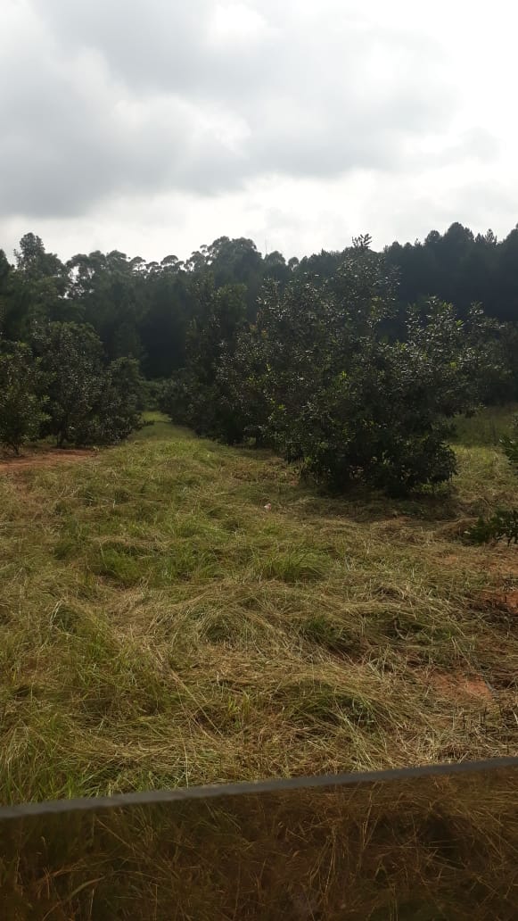 0 Bedroom Property for Sale in Hazyview Mpumalanga