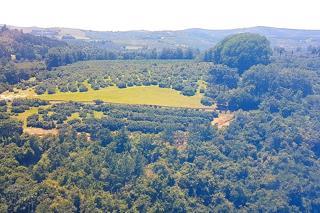 0 Bedroom Property for Sale in Hazyview Mpumalanga