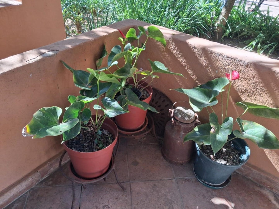 3 Bedroom Property for Sale in Dyksrus Mpumalanga