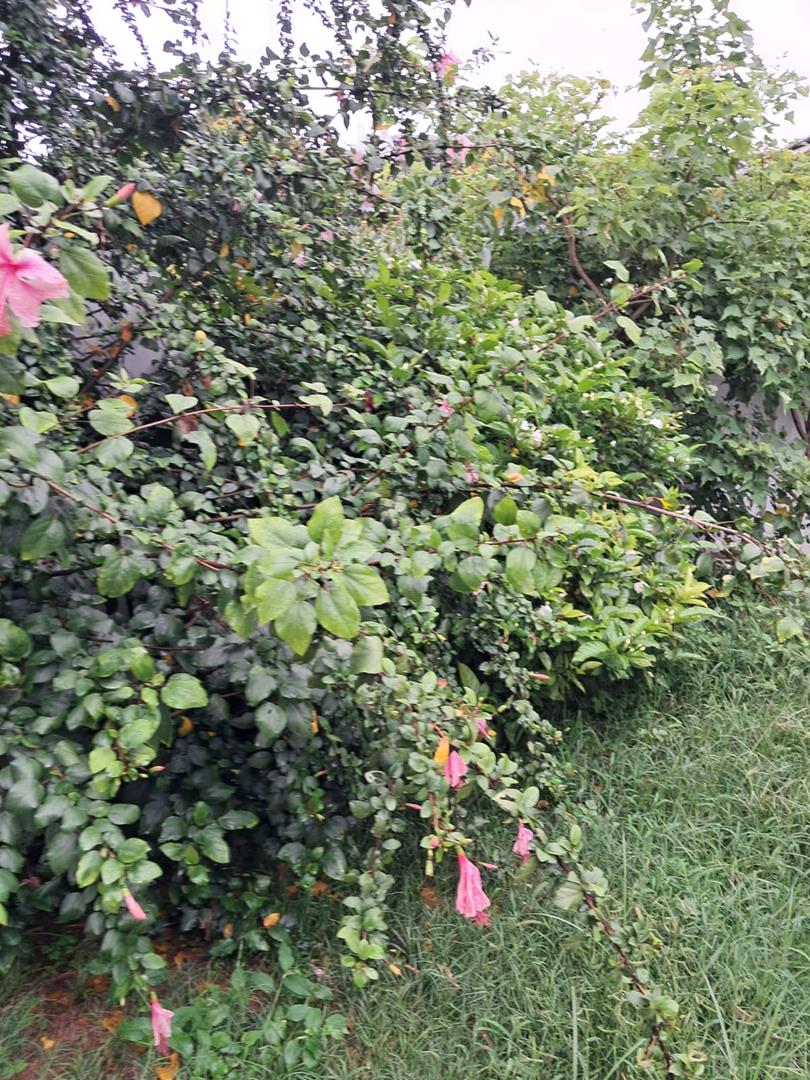 5 Bedroom Property for Sale in Nelspruit Mpumalanga