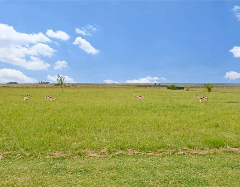 0 Bedroom Property for Sale in Middelburg Rural Mpumalanga