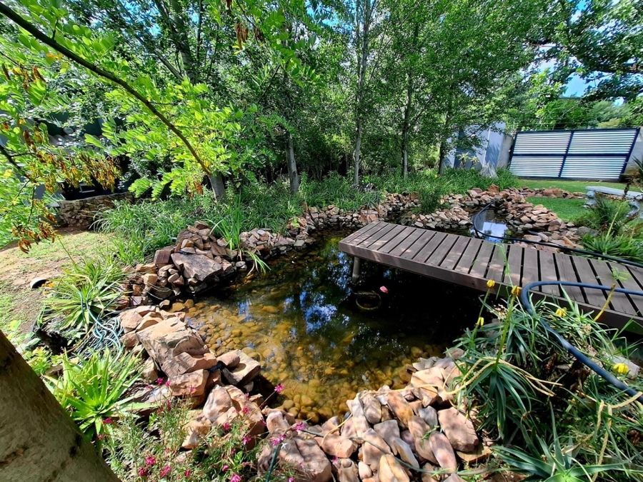 5 Bedroom Property for Sale in Middelburg Central Mpumalanga