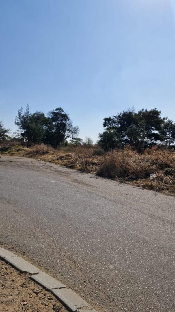 0 Bedroom Property for Sale in Marelden Mpumalanga