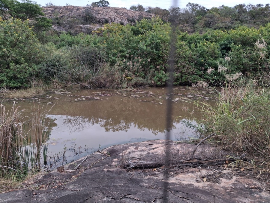 25 Bedroom Property for Sale in Maggiesdal Mpumalanga