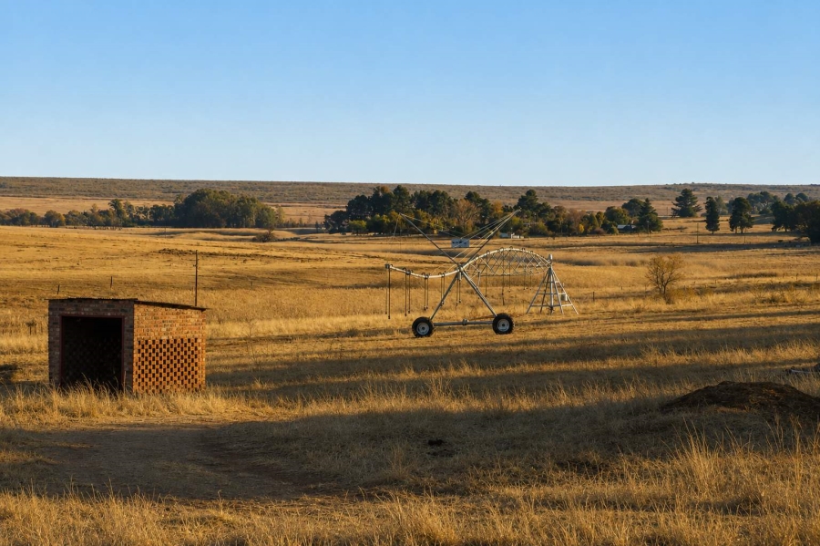 4 Bedroom Property for Sale in Witbank Rural Mpumalanga