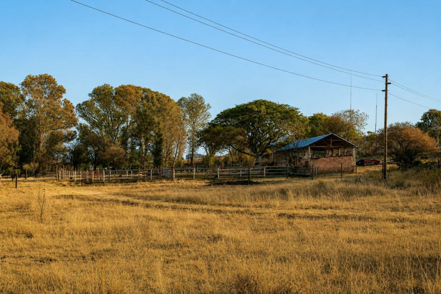 4 Bedroom Property for Sale in Witbank Rural Mpumalanga