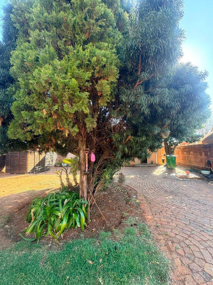 3 Bedroom Property for Sale in Middelburg South Mpumalanga