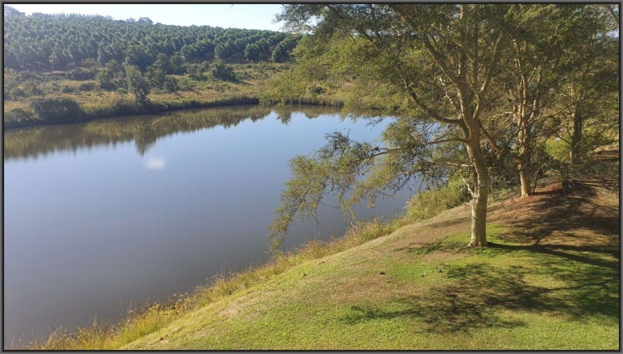 To Let 4 Bedroom Property for Rent in White River Mpumalanga