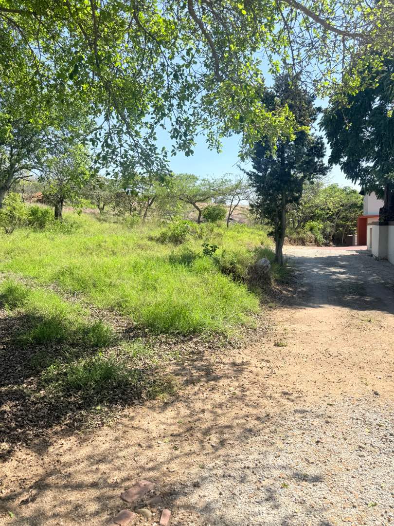 0 Bedroom Property for Sale in Drum Rock Mpumalanga