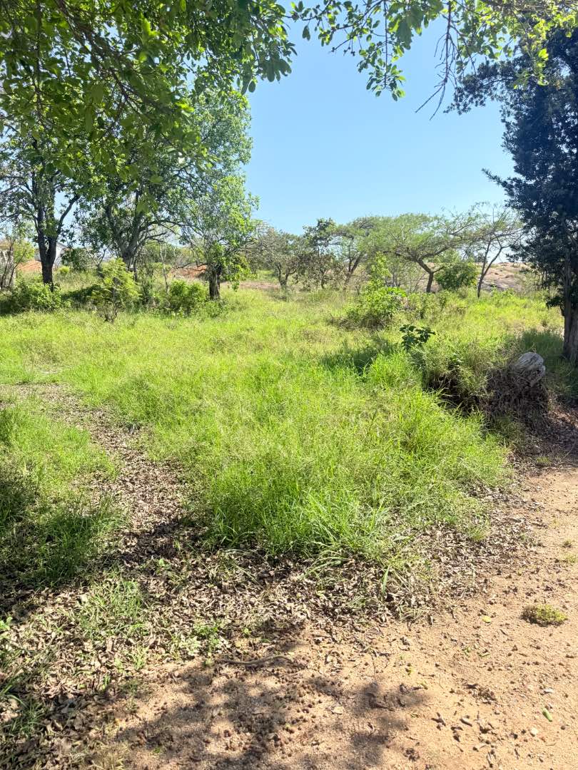 0 Bedroom Property for Sale in Drum Rock Mpumalanga