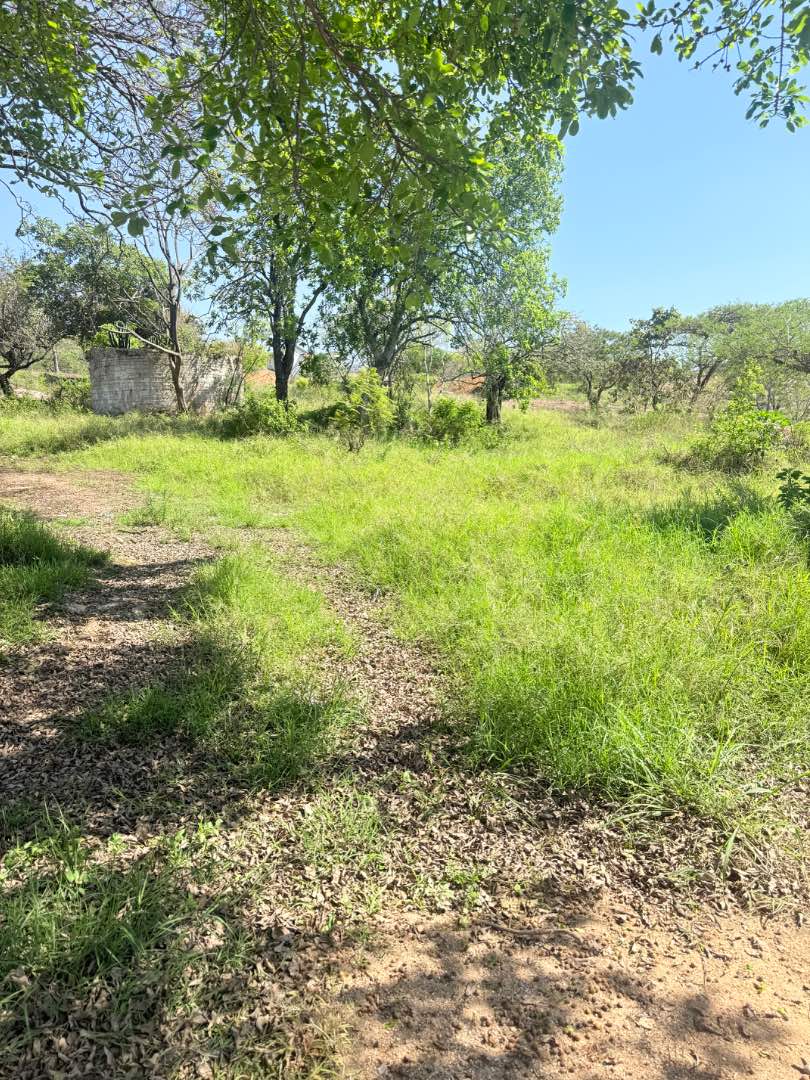 0 Bedroom Property for Sale in Drum Rock Mpumalanga