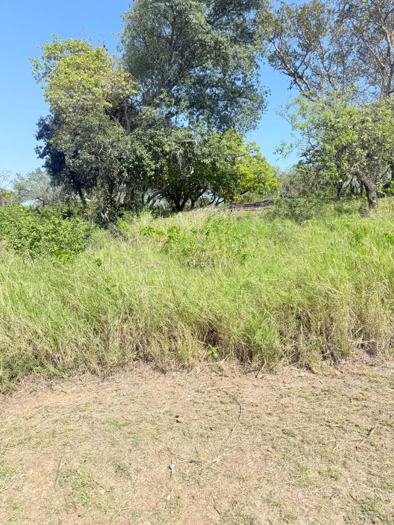 0 Bedroom Property for Sale in Drum Rock Mpumalanga