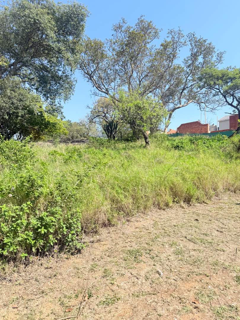 0 Bedroom Property for Sale in Drum Rock Mpumalanga