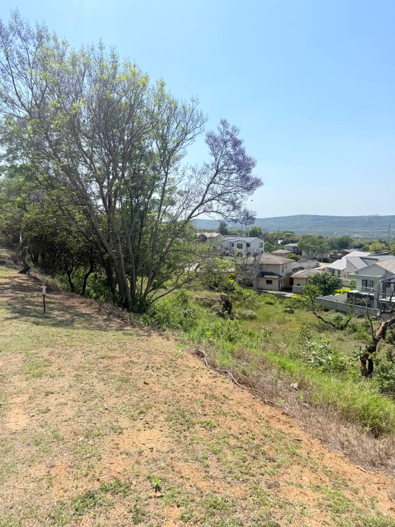0 Bedroom Property for Sale in Drum Rock Mpumalanga