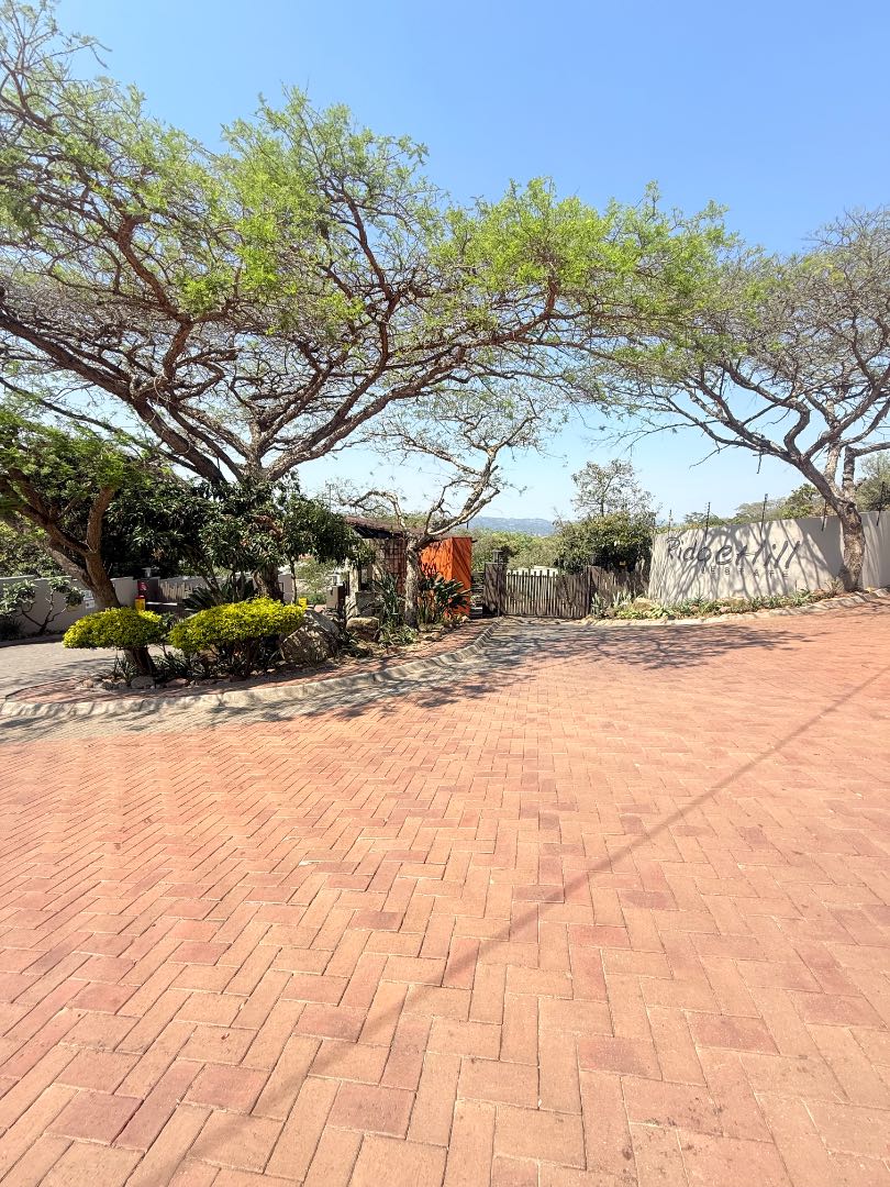 0 Bedroom Property for Sale in Drum Rock Mpumalanga