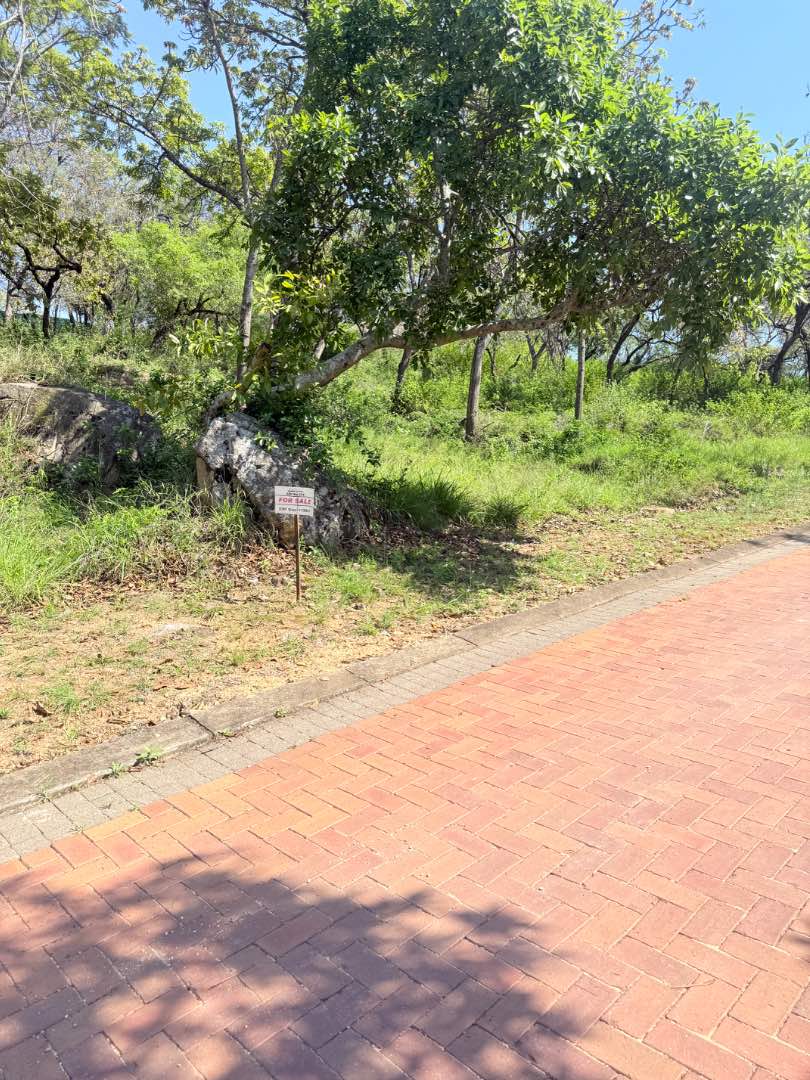 0 Bedroom Property for Sale in Drum Rock Mpumalanga