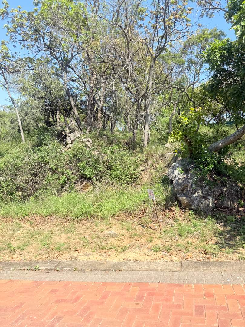 0 Bedroom Property for Sale in Drum Rock Mpumalanga