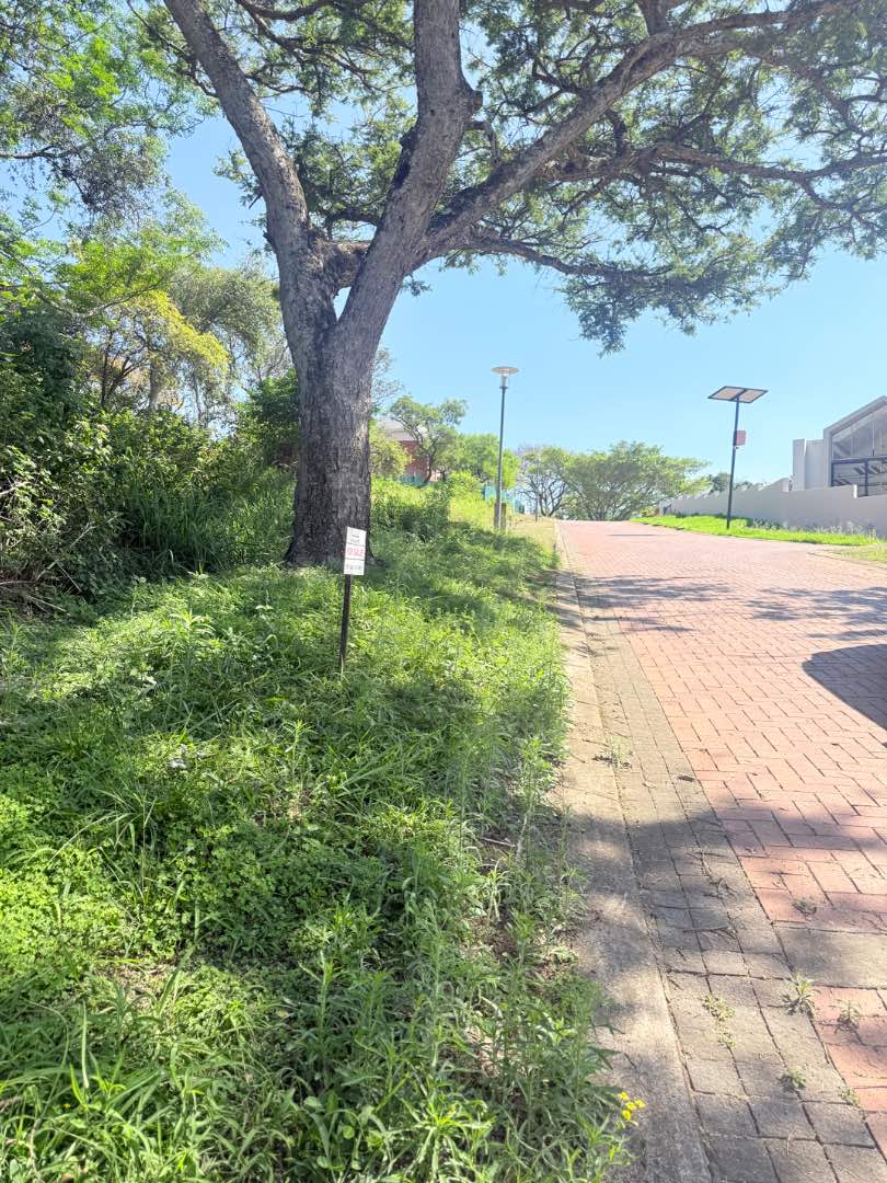 0 Bedroom Property for Sale in Drum Rock Mpumalanga