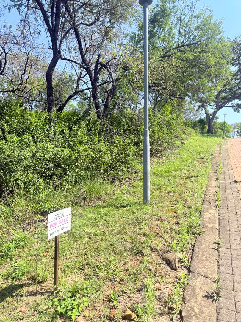0 Bedroom Property for Sale in Drum Rock Mpumalanga