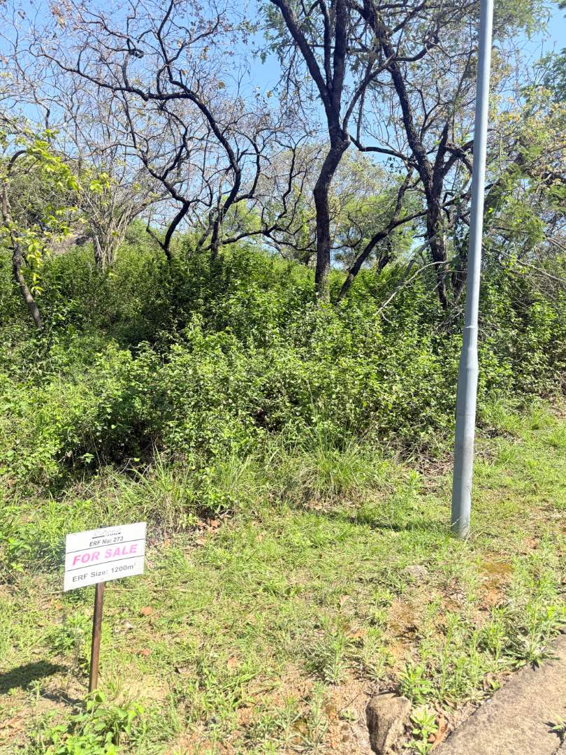0 Bedroom Property for Sale in Drum Rock Mpumalanga