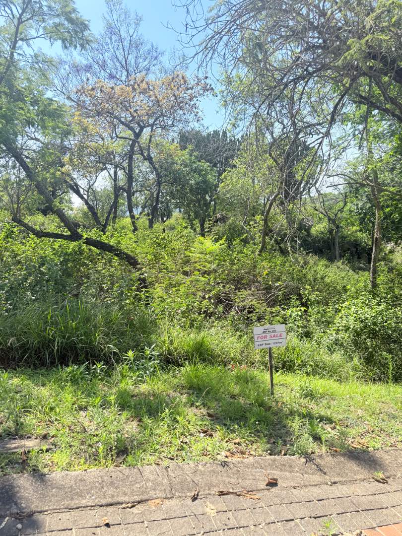 0 Bedroom Property for Sale in Drum Rock Mpumalanga