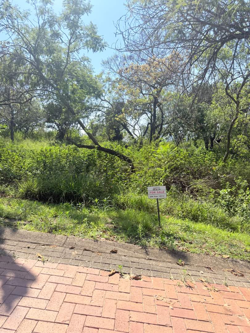 0 Bedroom Property for Sale in Drum Rock Mpumalanga