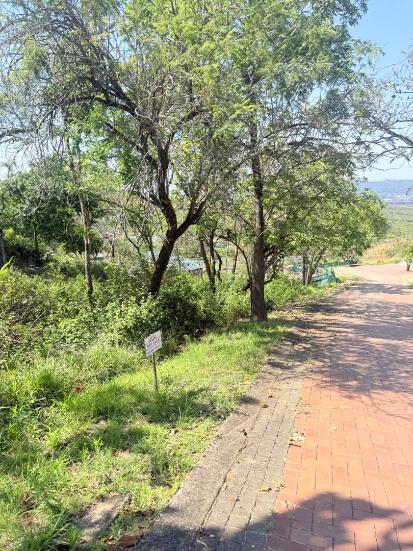 0 Bedroom Property for Sale in Drum Rock Mpumalanga