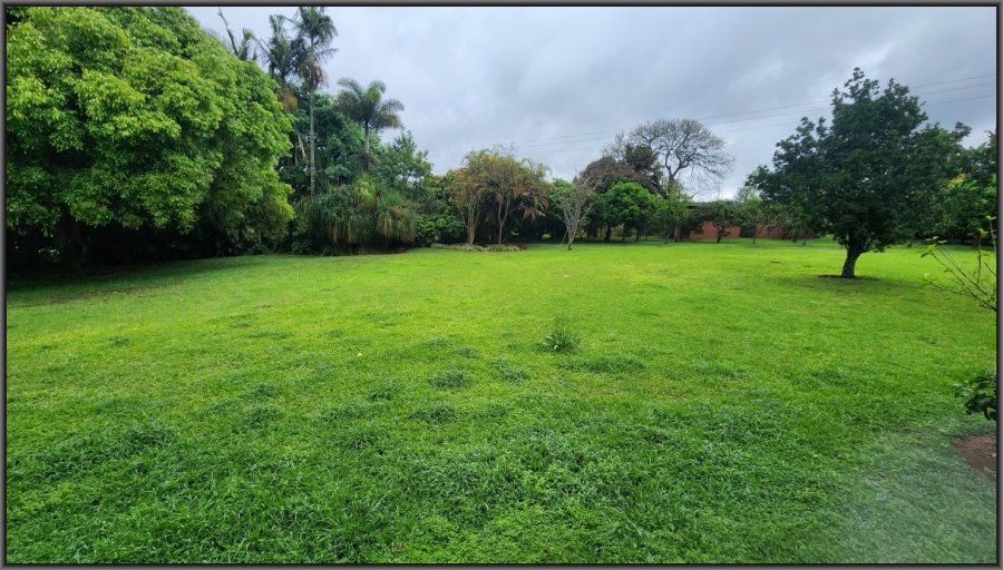 To Let 5 Bedroom Property for Rent in White River Mpumalanga