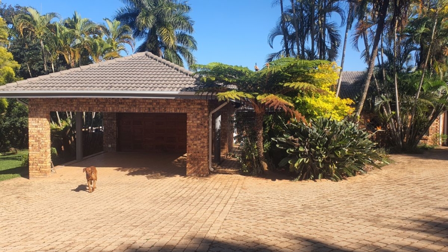 To Let 5 Bedroom Property for Rent in White River Mpumalanga