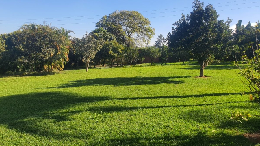 To Let 5 Bedroom Property for Rent in White River Mpumalanga